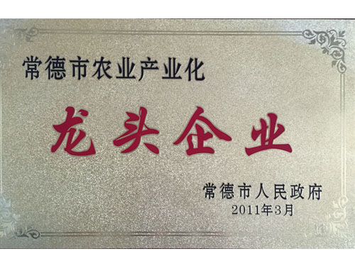 2011年龙头企业